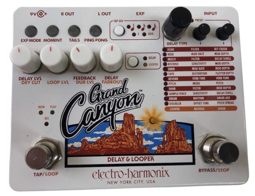 Gear Hunter | Electro-Harmonix GRAND CANYON Delay/Looper